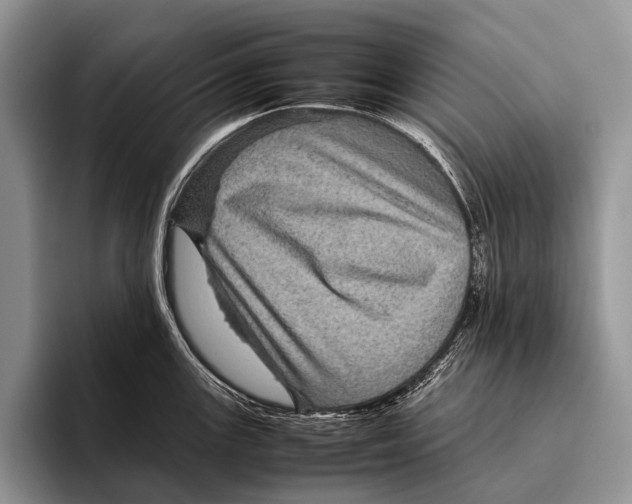 X0000095941147200802081232