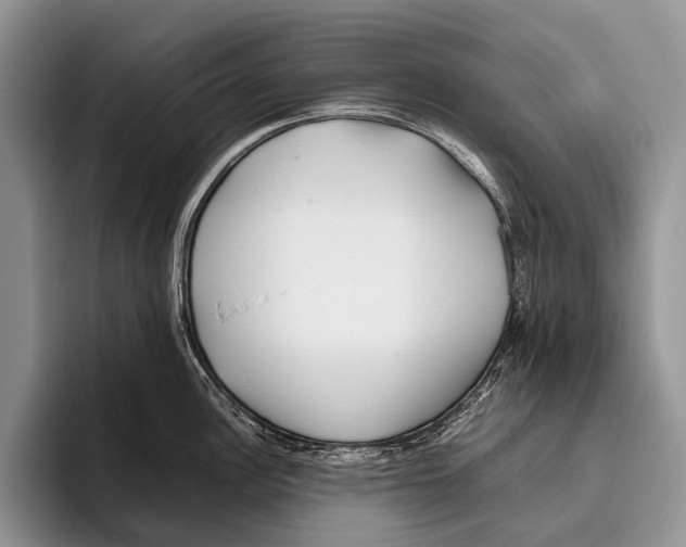 X0000095941148200802081232