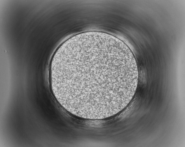 X0000095941150200802081232