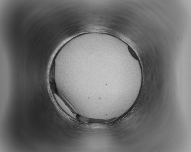 X0000095941152200802081232