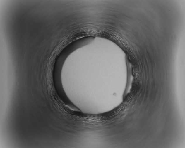 X0000095941153200802081231