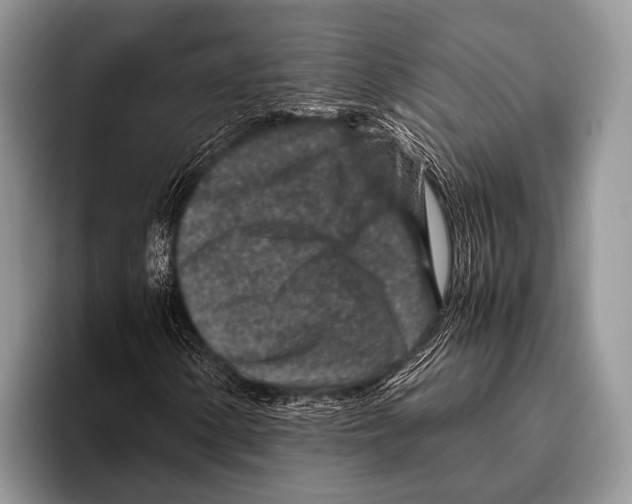 X0000095941154200802081231