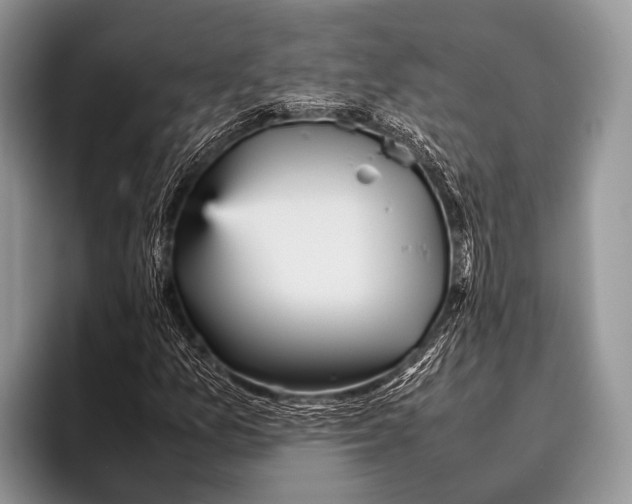 X0000095941157200802081231