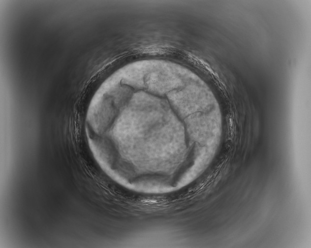 X0000095941158200802081231