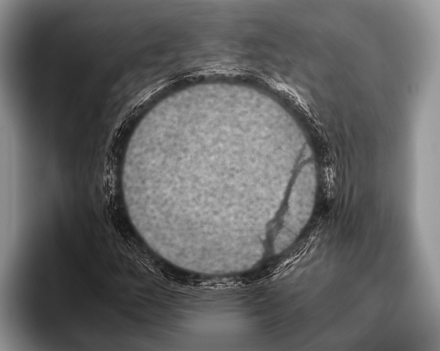 X0000095941159200802081231