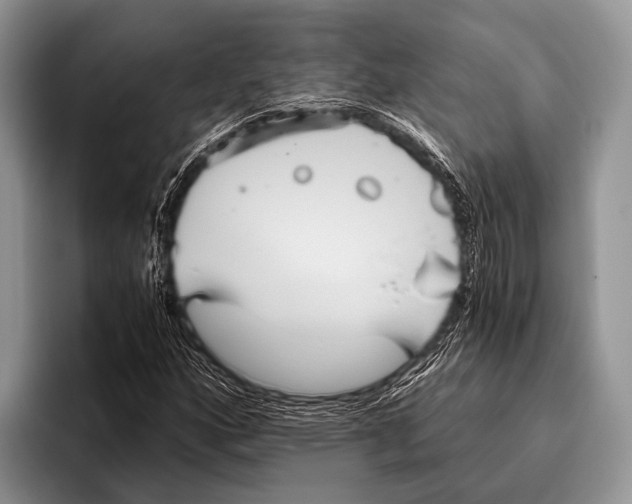 X0000095941160200802081231