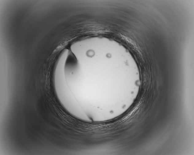 X0000095941161200802081231