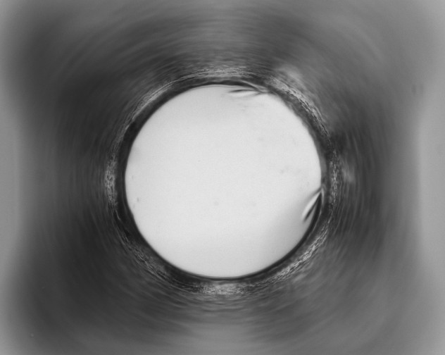 X0000095941162200802081231