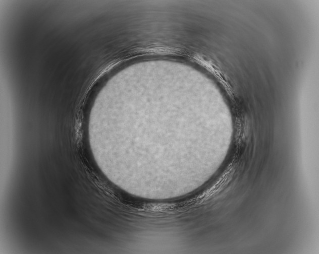 X0000095941163200802081231