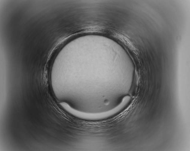 X0000095941164200802081231