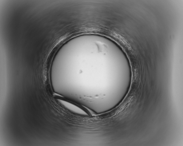 X0000095941165200802081231