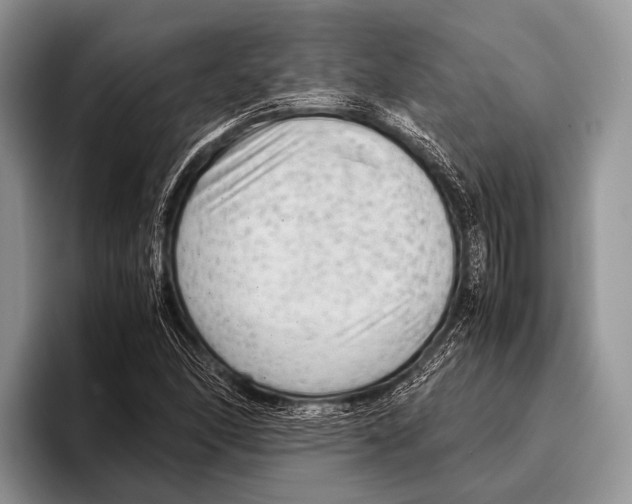 X0000095941166200802081231