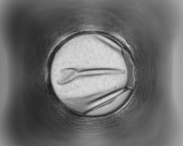 X0000095941167200802081231