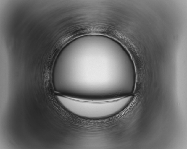 X0000095941169200802081231