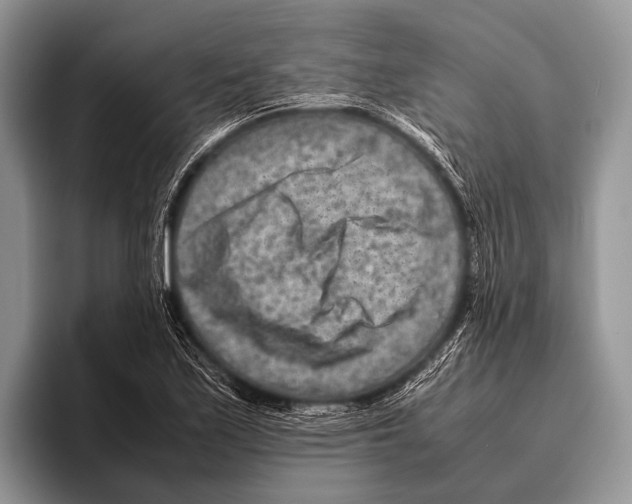 X0000095941171200802081231