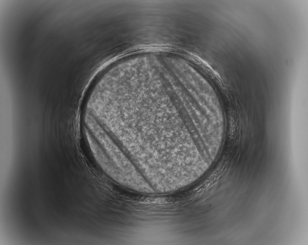 X0000095941174200802081231