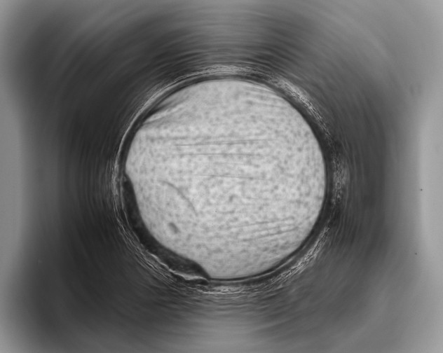 X0000095941178200802081231