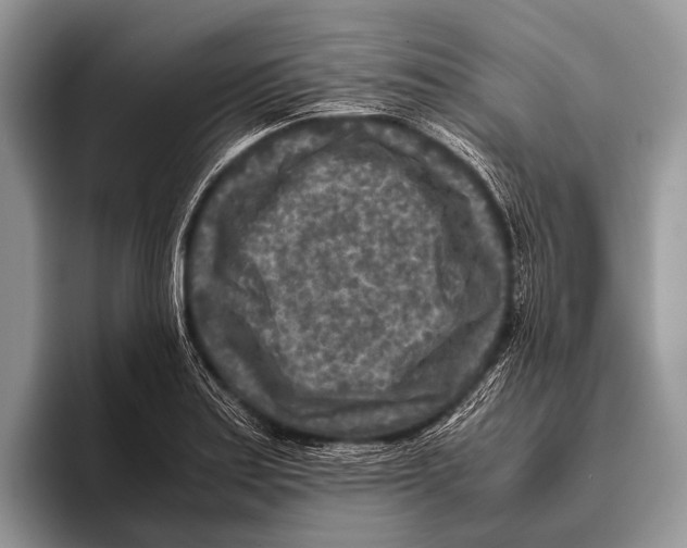 X0000095941179200802081231