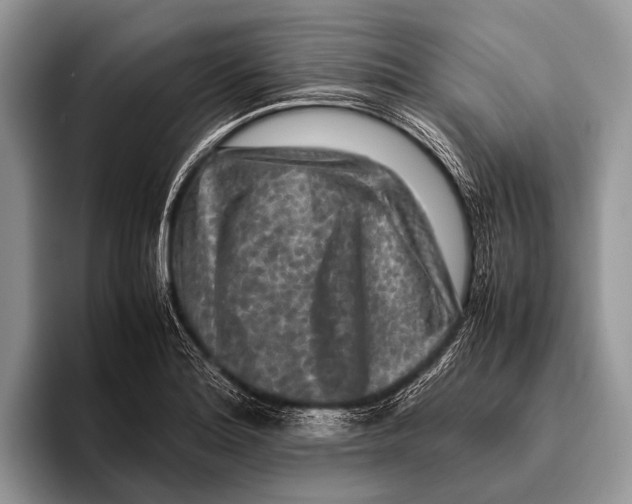 X0000095941180200802081231