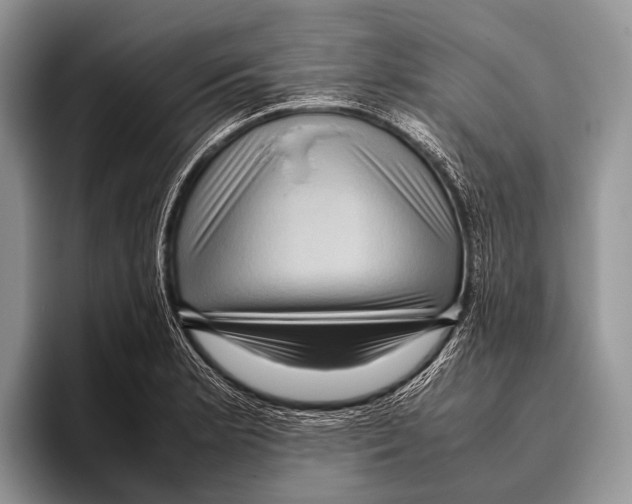 X0000095941181200802081231