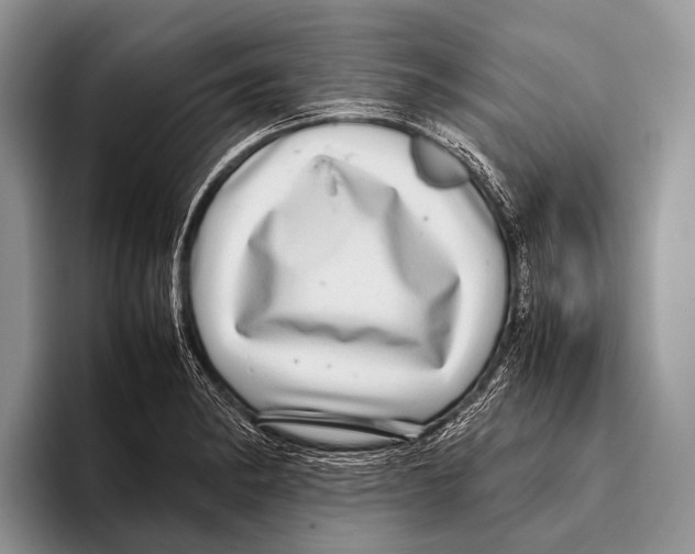 X0000095941182200802081231