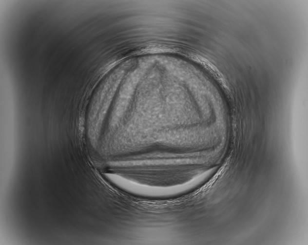 X0000095941185200802081231