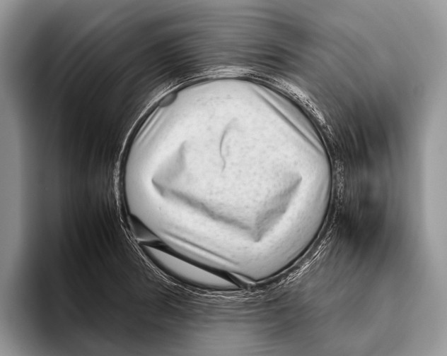 X0000095941186200802081231