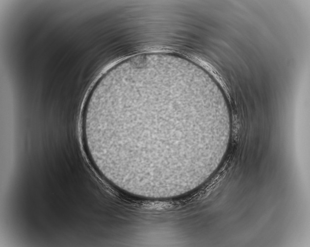 X0000095941187200802081231