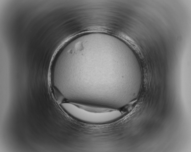 X0000095941188200802081231