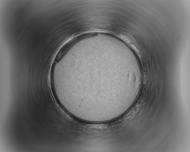 X0000095941189200802081231