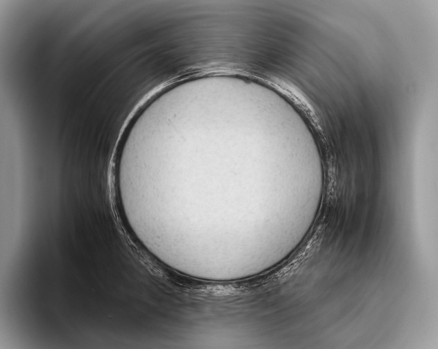 X0000095941190200802081231