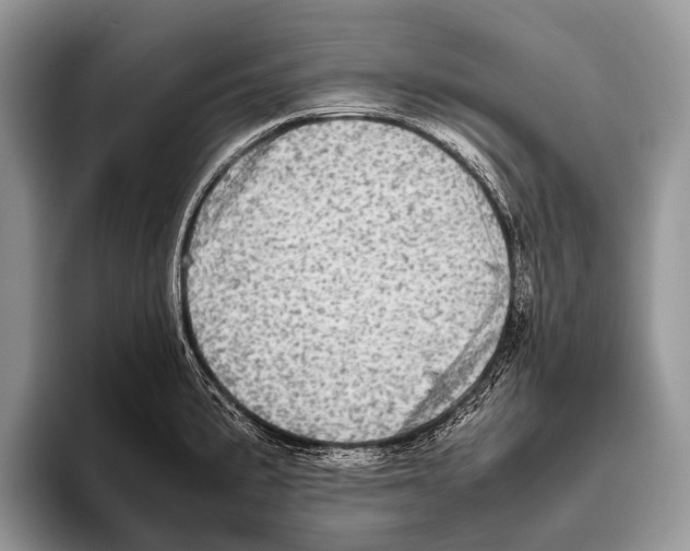 X0000095941191200802081231