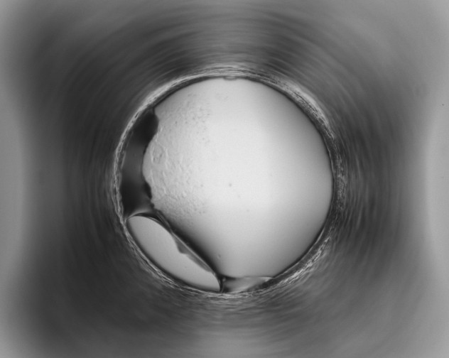 X0000095941192200802081231