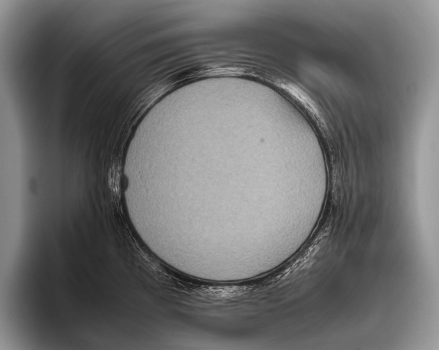 X0000095941193200802081231