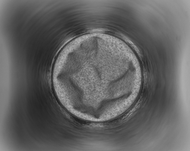 X0000095941194200802081231