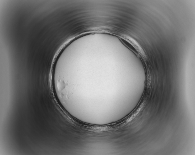 X0000095941196200802081231