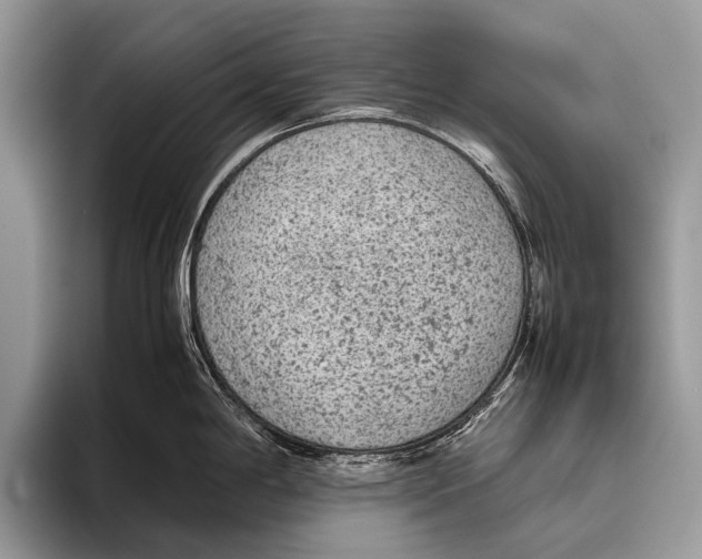 X0000095941198200802081231