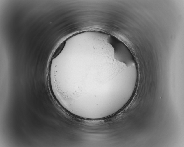 X0000095941200200802081231