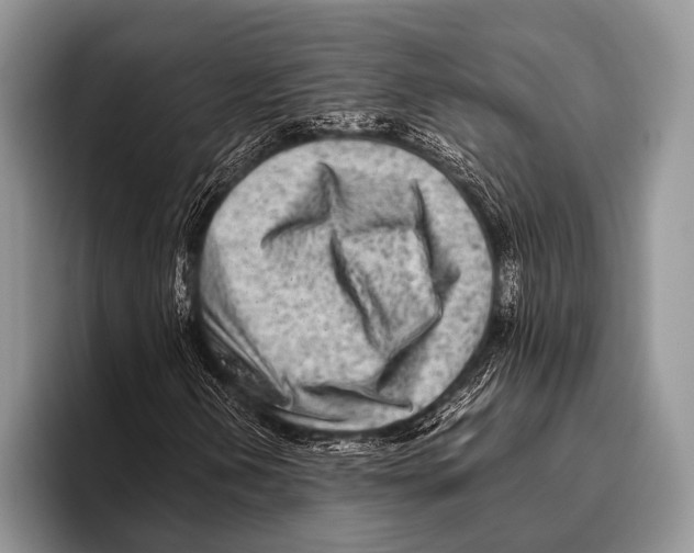 X0000095941202200802081230