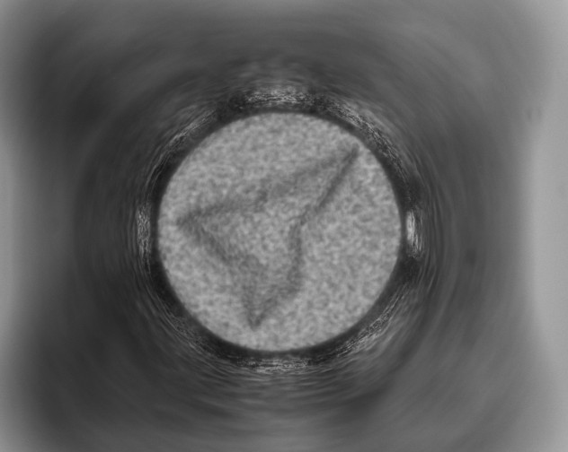 X0000095941203200802081230