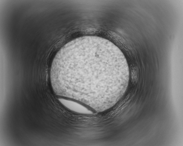 X0000095941204200802081230