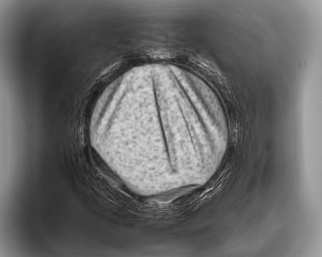 X0000095941205200802081230