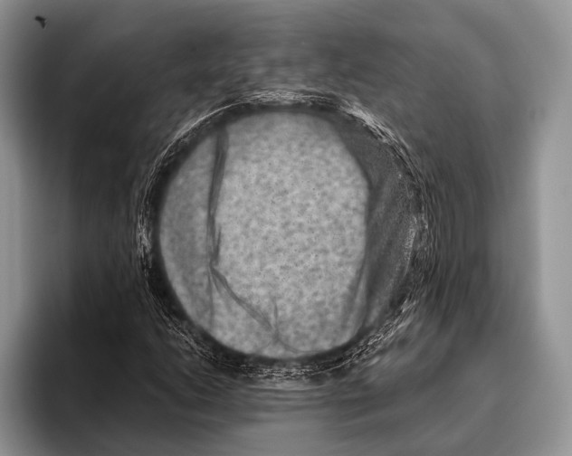 X0000095941206200802081230