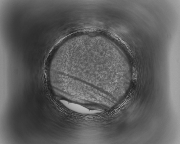 X0000095941208200802081230