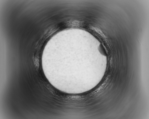 X0000095941209200802081230