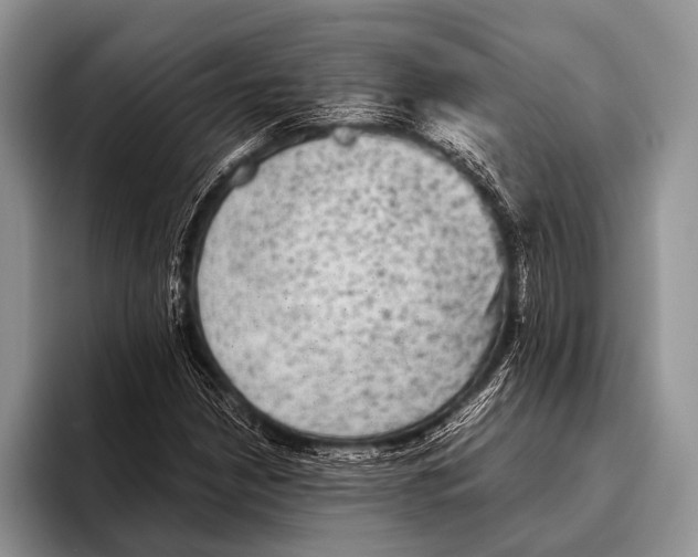 X0000095941210200802081230