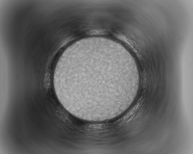 X0000095941211200802081230