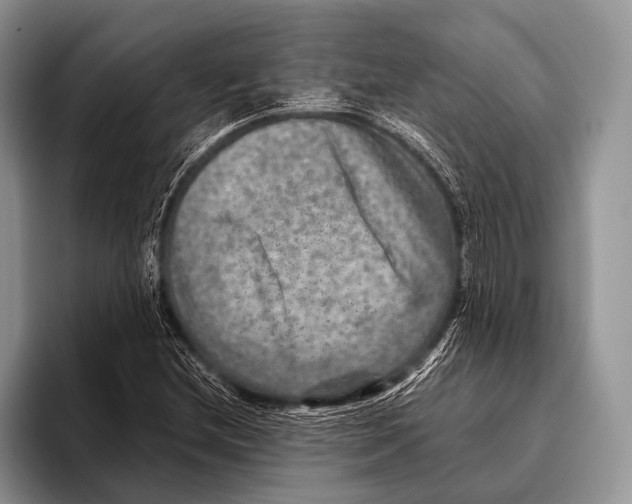 X0000095941212200802081230