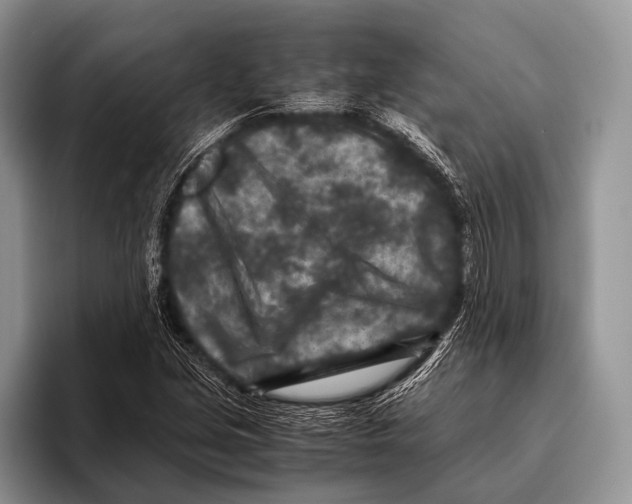 X0000095941213200802081230