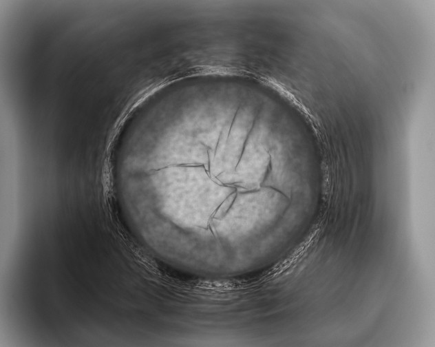 X0000095941215200802081230